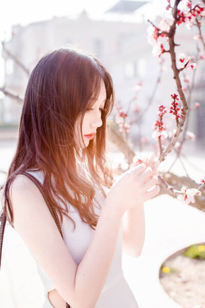 我想，采撷一瓣樱花，将所有的思念涂抹在上边，让青鸟载着我的心事，穿越千山万水去看你。