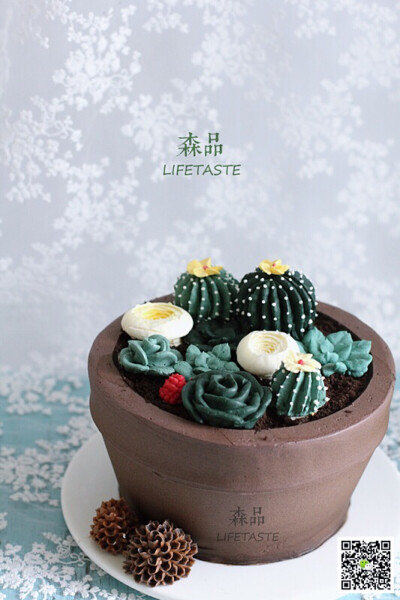盆栽蛋糕，韩式裱花蛋糕