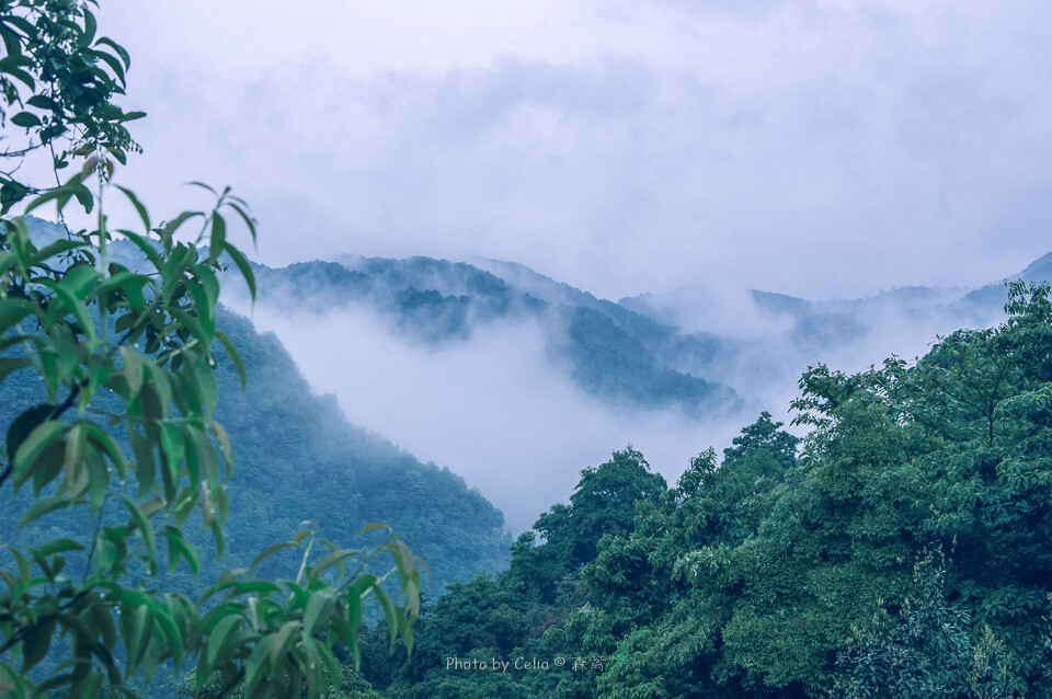 森篱摄影：杭州的山