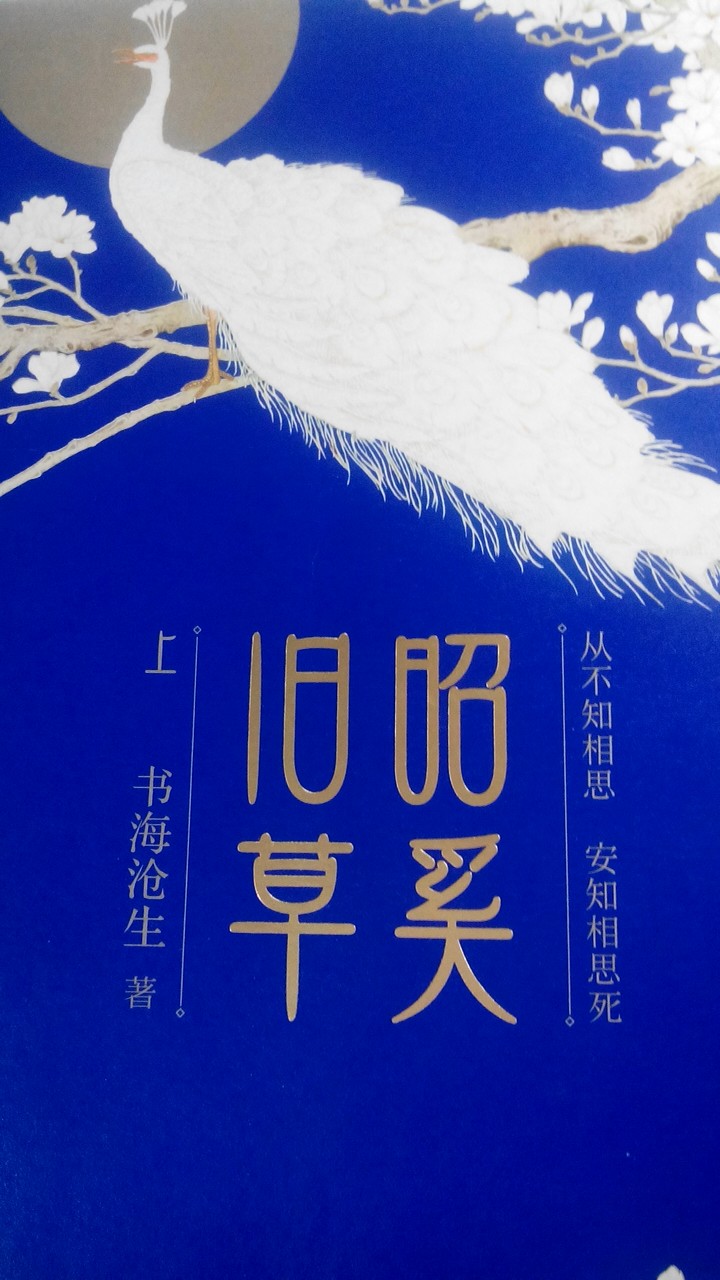 《昭奚旧草》 书海沧生