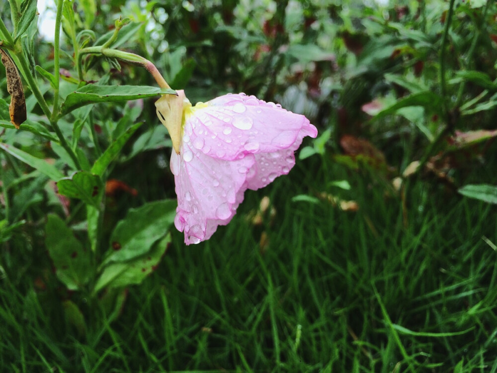 阴时有雨