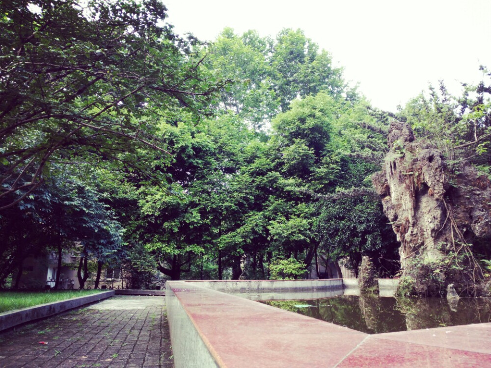 随手拍！（交通大学）