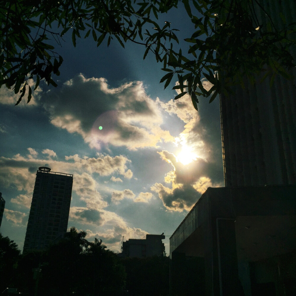 今年夏日