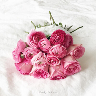 #分享Instagram##pink##flower#