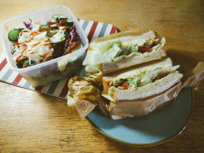 sandwich & salad