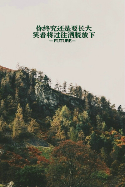 Future：原创 希望大家喜欢^_^ 喜欢就收藏把 更多图片详见《Future ▪ 一记深刺》‖锁屏壁纸皮肤‖纯文字‖原创美图‖简约‖Future‖