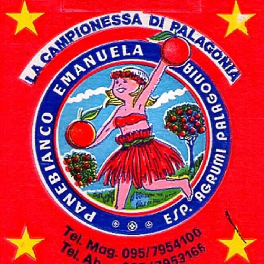 你若担心你不能飞