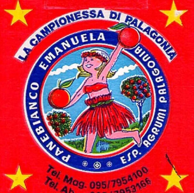 你若担心你不能飞