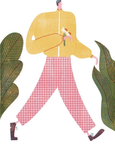 你若担心你不能飞