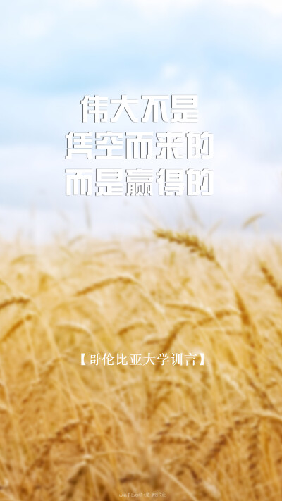 [世界各大学校训言15P][高考，加油！祝所有考生逢考必过]#文字壁纸，锁屏壁纸，手机壁纸，语录，励志，激励#自制壁纸，@潼阿凉#图文来源网络，侵删，禁二传