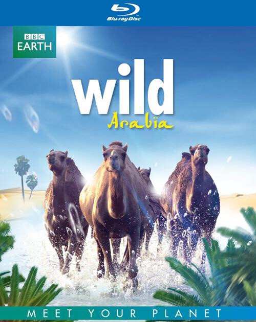 【片名】狂野阿拉伯 Wild Arabia (2013)，【制片国家/地区】英国，【集数】 3集，【单集片长】60分钟，【简介】几十年来，它的神秘魅力和迷人景象一直不为世人所知。狂野阿拉伯半岛首次向世界展示它激动人心的多样地质和非凡的野生生物。动物星球以空前的近距离角度，带观众来到位于三座大陆交叉点的神秘国度，这里有富饶的文化和令人窒息的美景。作为曾经的旧世界贸易中心，阿拉伯半岛的光辉隐去，在这里，现代世界遇到了一片广阔的永恒之地…