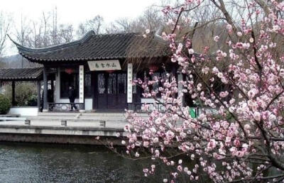 南京梅花山最为珍贵的就是“别角晚水”品种的梅花。“别角晚水”是真梅系直枝梅类宫粉型的优良品种，花期一般在2月下旬至3月上旬，花淡玫瑰红色，浅碗状，花瓣层层叠叠，多达45瓣，内有碎瓣婆娑飞舞，十分漂亮。本品…