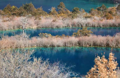 九寨沟位于四川省阿坝藏族羌族自治州九寨沟县境内，是中国第一个以保护自然风景为主要目的的自然保护区。地处青藏高原向四川盆地过渡地带，距离成都市400多千米，是一条纵深50余千米的山沟谷地，总面积64297公顷，森…