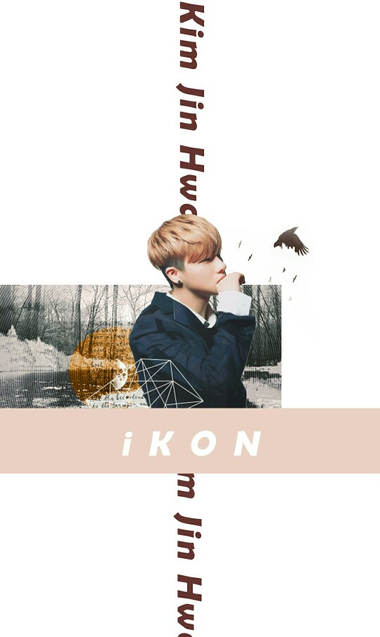 金振焕 ikon