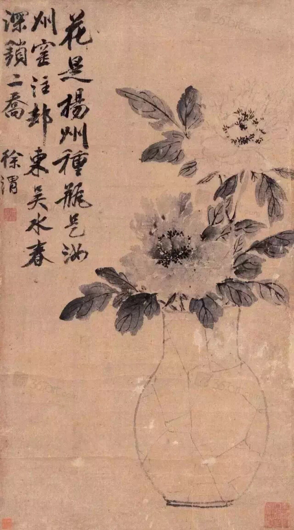 徐渭（152l～1593）明代书画家，
他被称“中国式梵高”。
是中国画历史上的旷世孤才，
他的字画影响国画四百多年，
至今不衰。
