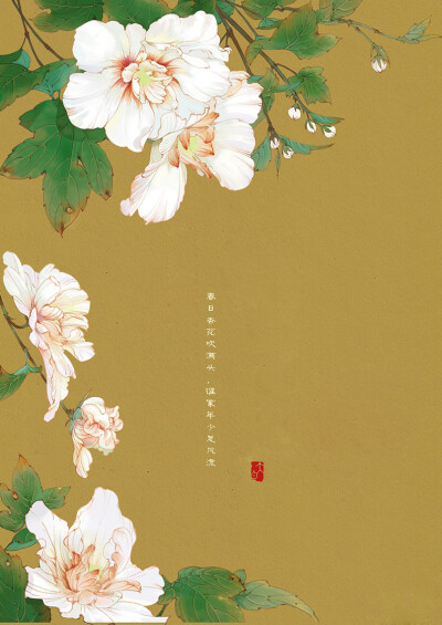 《凤囚凰》 猫君大白 侵删 自p 壁纸