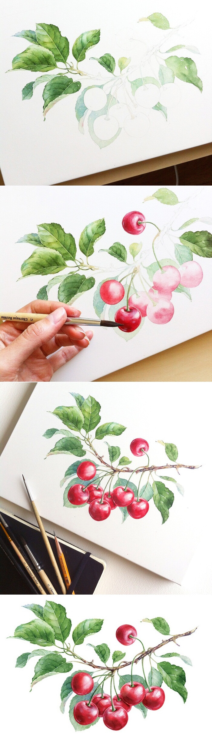 樱桃 水彩 绘画教程 俄罗斯艺术家Natalia Tyulkina