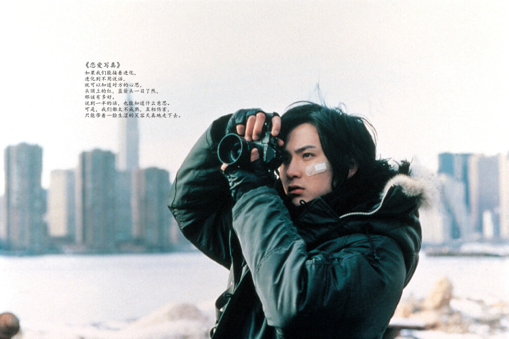 《恋爱写真》一个人喜欢一部电影，一定是从这部电影里找到了自己的影子。松田龙平和广末凉子诉说遇见、想念、纪念的故事。