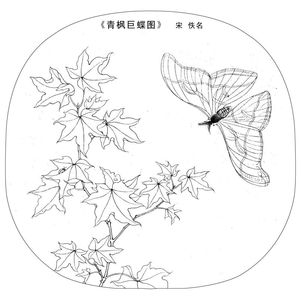 花鸟花卉斗方工笔字画