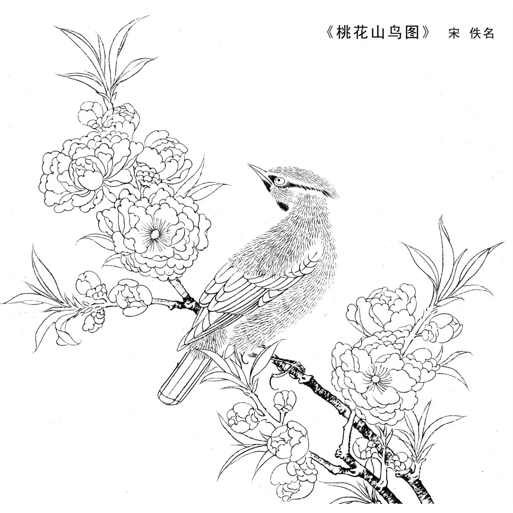 花鸟花卉斗方工笔字画