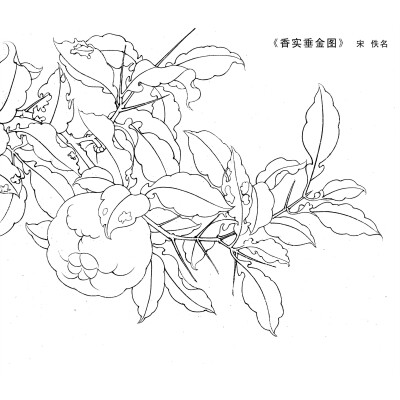 花鸟花卉斗方工笔字画