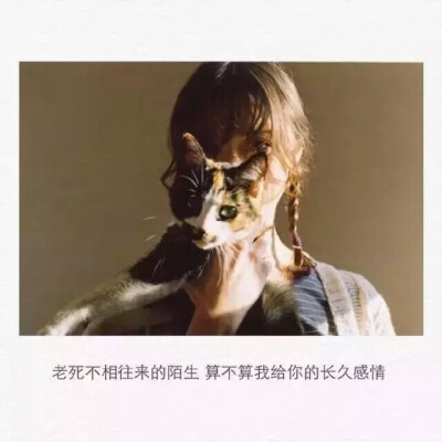 归期