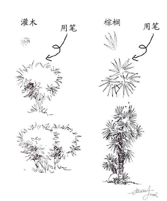 植物画法