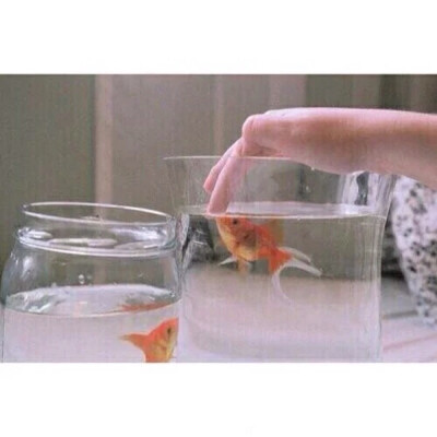 ▹我从来不是那样的人.不能耐心地收拾起一片碎片.把它们凑合在一起.然后对自己说这个修补好了的东西跟新的完全一样.一样东西破碎了就是破碎了.我宁愿记住它最好的模样.而不想把它修补好然后终生看着那些碎了的地方.