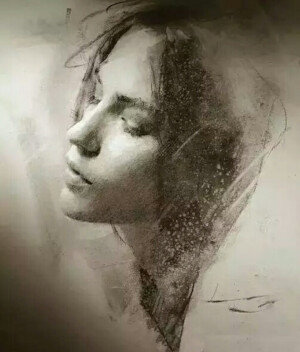 素描•速写•插画•素材