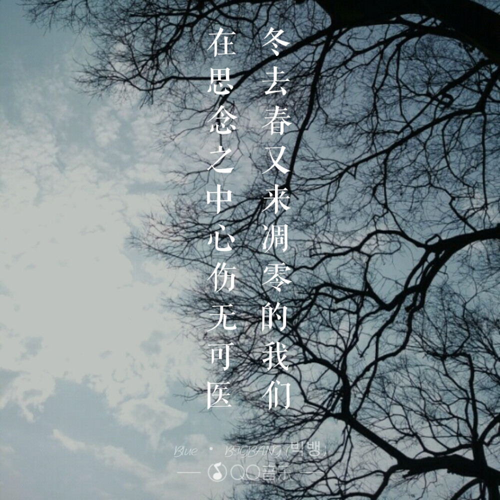 没错，我就是VIP!自豪！