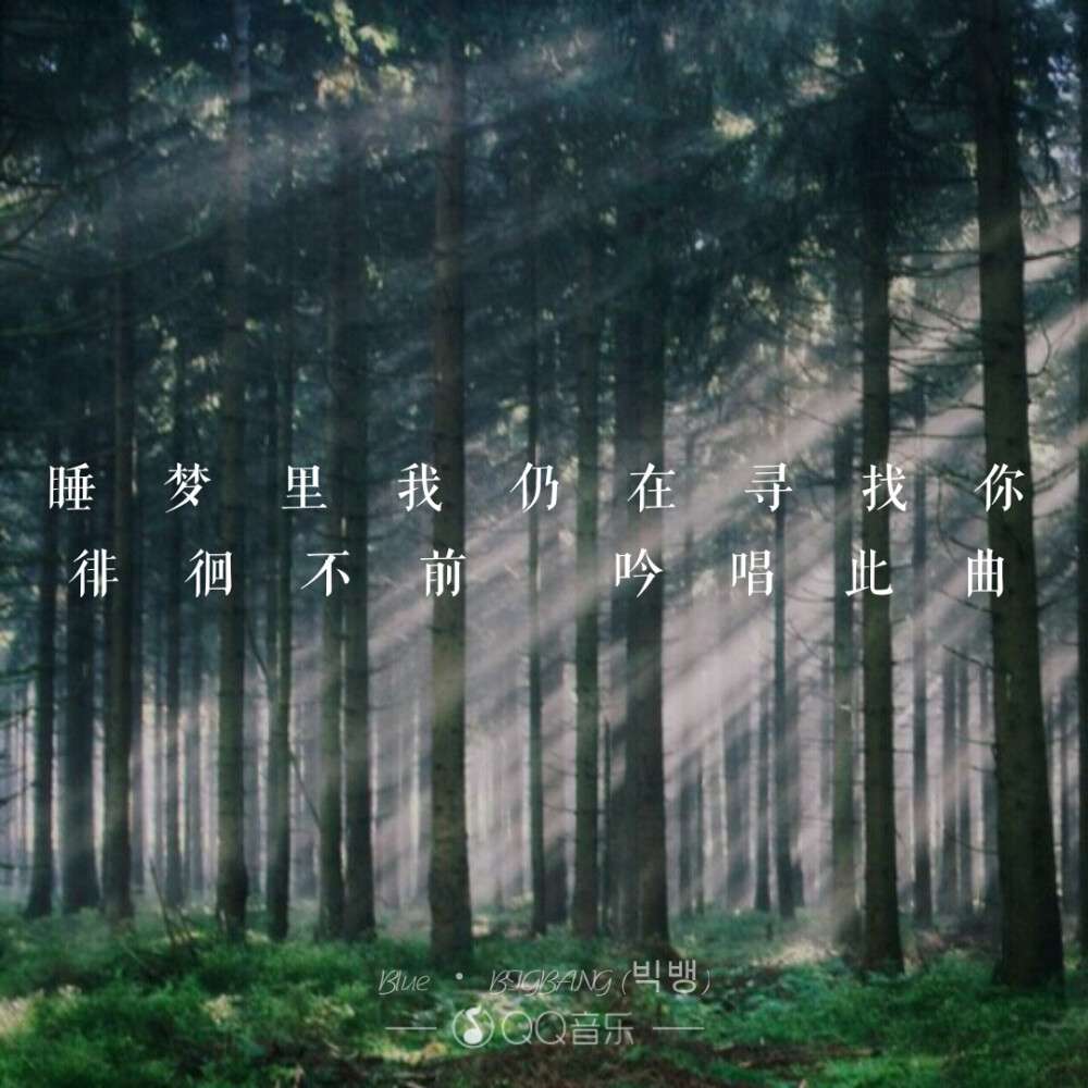 没错，我就是VIP!自豪！