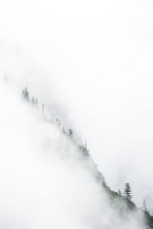 Yosemite National Park, California, United States(by Scott Sharick)。美国约塞米蒂国家公园，位于美国加利福尼亚州东部内华达山脉上，以其约塞米蒂山谷闻名于世。公园里有许多山谷、瀑布、内湖、冰山、冰碛，给我们展示了世上罕见的由冰川作用而成的大量的花岗岩浮雕，还发现了许多世上稀有的植物和动物种类存活。是美国国家公园内极耀眼的一颗明珠。