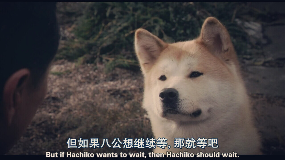 《忠犬八公的故事》强推！
教授从火车站带回小秋田犬，并给他取名小八。小八每天都要到火车站接送教授，直到教授突然过世，它也依旧守望在那里，不愿离去。“好孩子，你还在等他吗？”“你再也不用等他了，他不会回来了。”“不过小八愿意等的话，那就应该等。”“祝你长命百岁，小八。”到这里真的是直接泪崩。