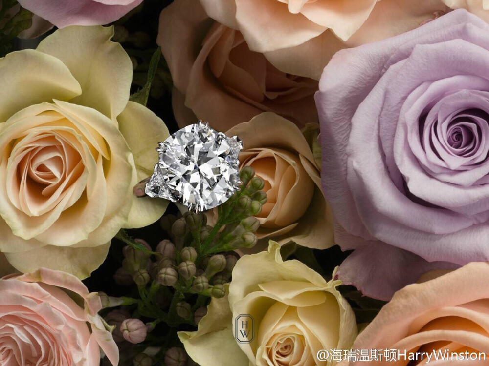 HARRY WINSTON 10.18carat 