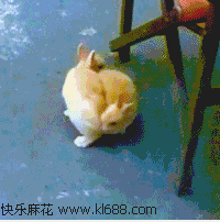 (｡◕ˇ∀ˇ◕）这样容易发生追尾事故哦~