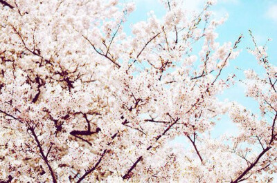 壁纸，头像，风景图，唯美