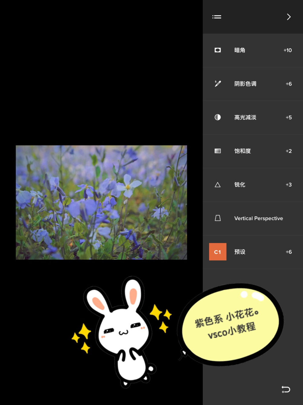 Vsco p图教程 花朵系列 原创 使花朵颜色更加柔美 更加突出 利用暗角