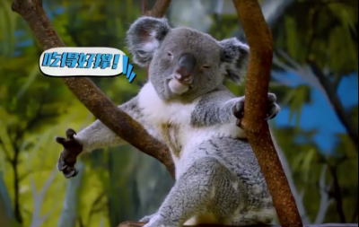 吃的好撑 李三熹Lee 斗图