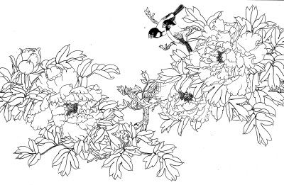 传统中式工笔斗方电子画稿线描植物花卉牡丹白描大图