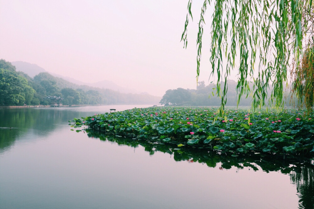 细雨空濛烟柳齐