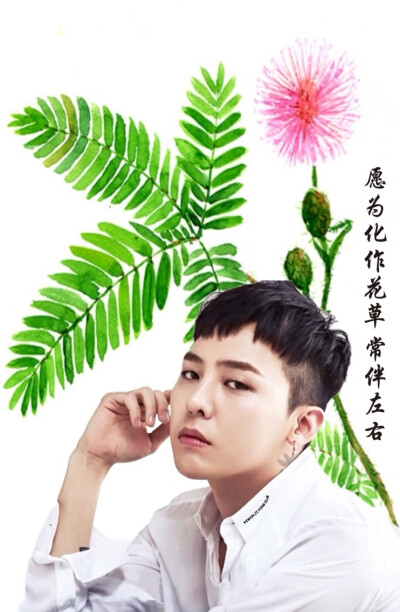 #G-Dragon 权志龙 GD#壁纸系列图【自制壁纸 拿图请注明出处 cr:大白】