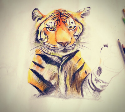 Emma.手绘虎