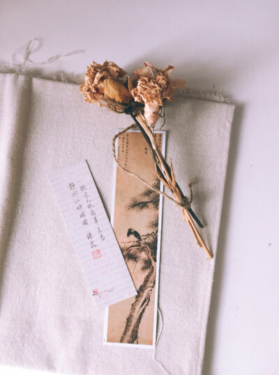 杂志上剪下的图，背面粘上硬纸片，做成书签玩。