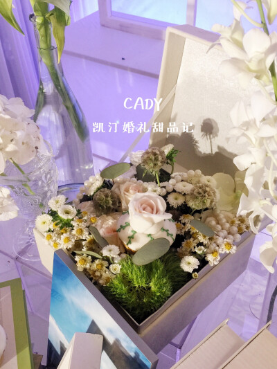 CADY
凯汀婚礼甜品记