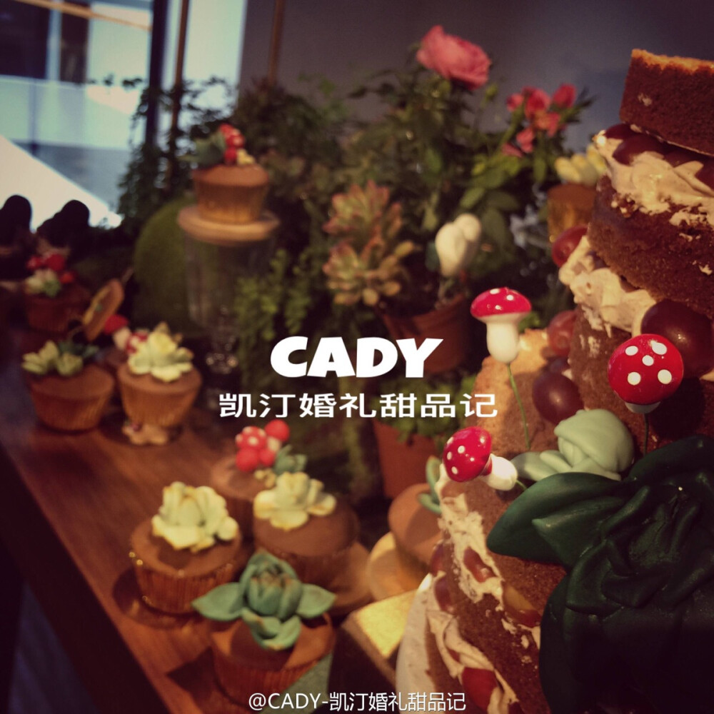 CADY
凯汀婚礼甜品记