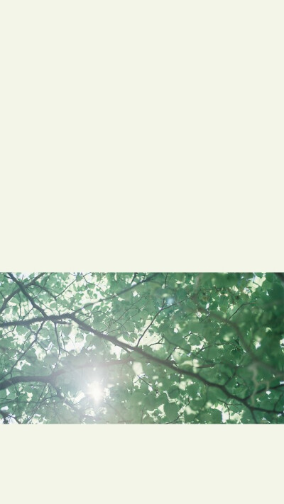 卡通 壁纸 简约 夏天