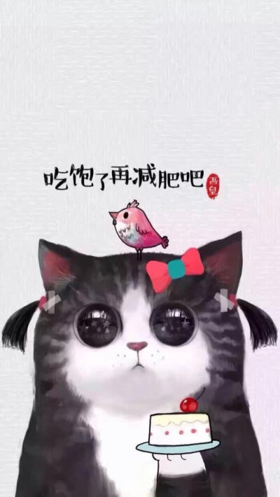 手机壁纸 猫咪系列 减肥ʕ •ᴥ•ʔ