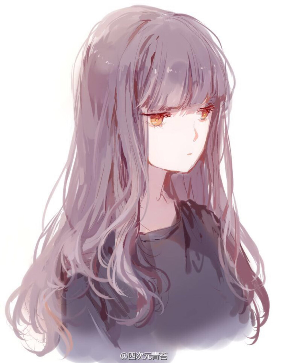 四次元青苔