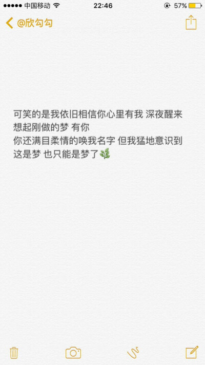 可笑的是我依旧相信你心里有我 深夜醒来想起刚做的梦 有你
你还满目柔情的唤我名字 但我猛地意识到这是梦 也只能是梦了