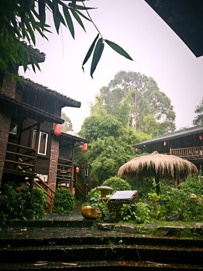 在暴雨中度过了2016的端午节